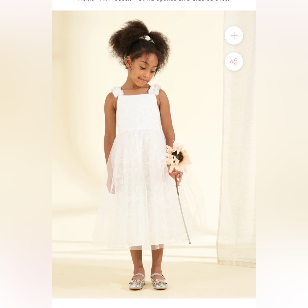 Angel & Rocket Olivia Sparkle Embroidered Formal, Communion or Flower Girl Dress